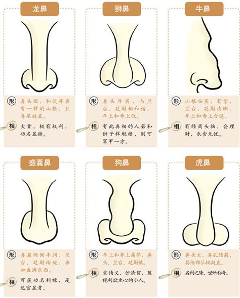 小鼻子小眼睛面相|面相入门